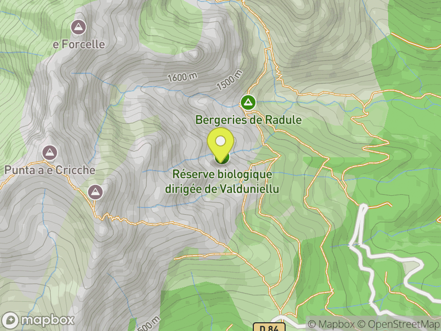Col de Vergio