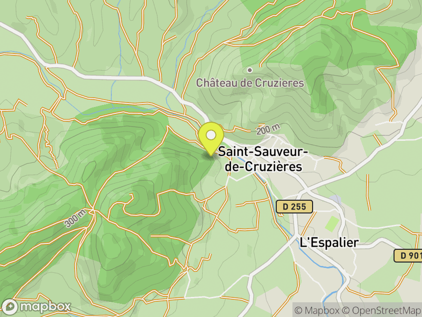 Saint Sauveur de Cruzières