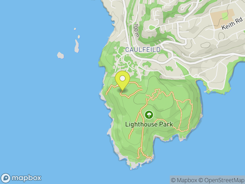 Lighthouse Park