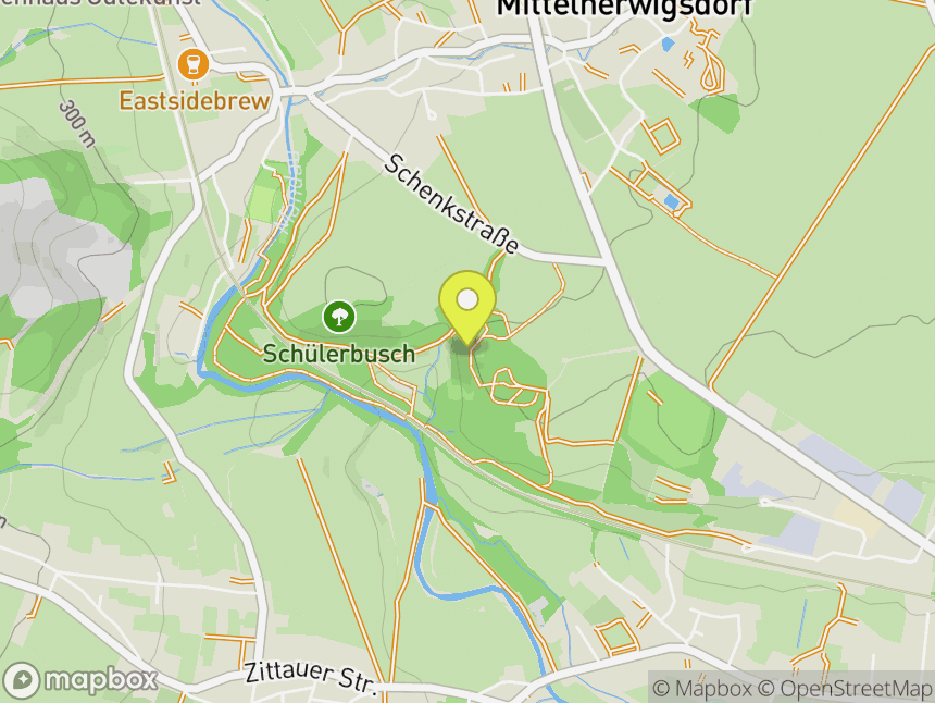 Schülerbusch