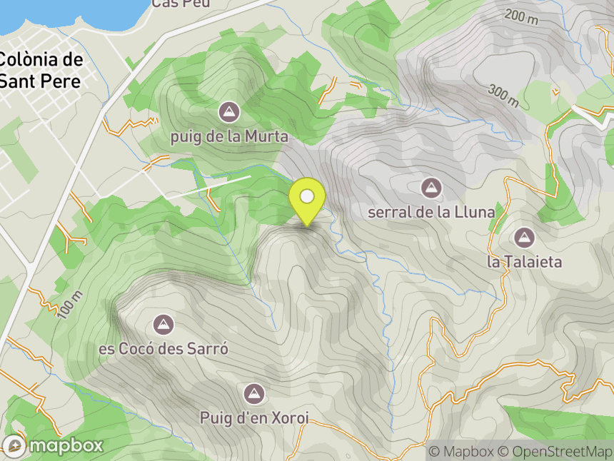 Es Parral