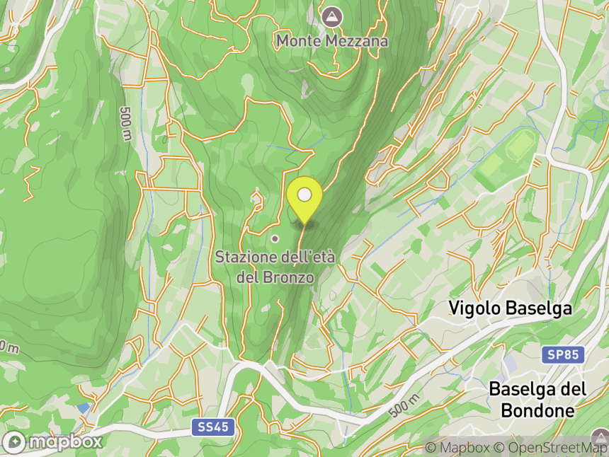 Vigol