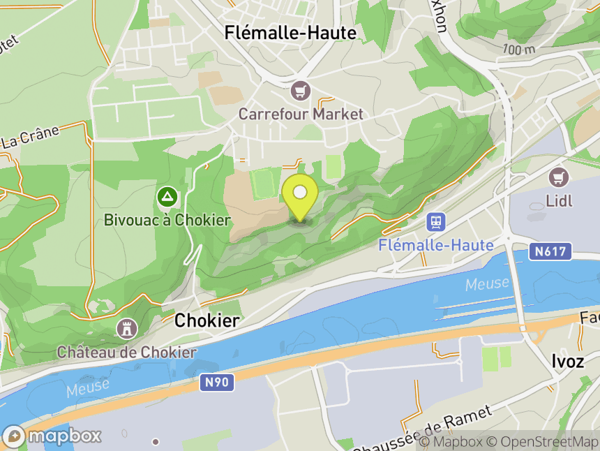 Réserve des Roches (Flemalle)