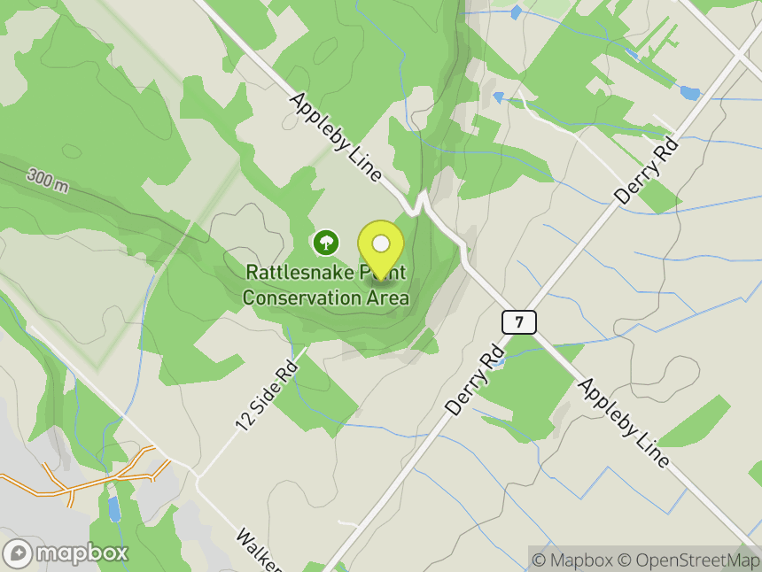 Rattlesnake Point