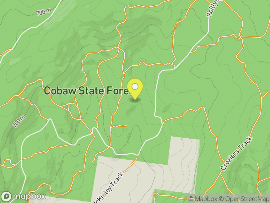 Cobaw Forest