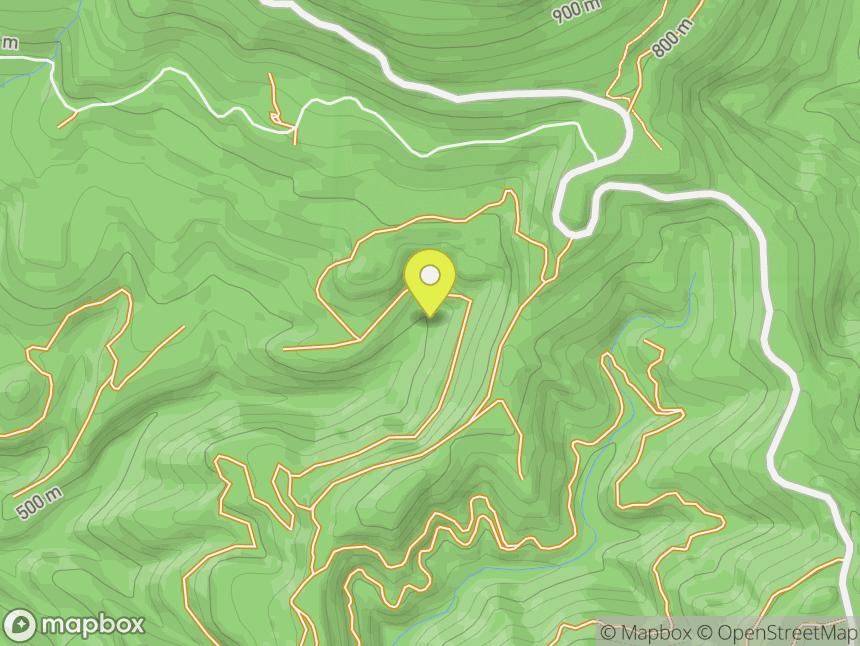 Mary's Peak
