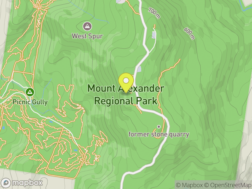 Mt Alexander