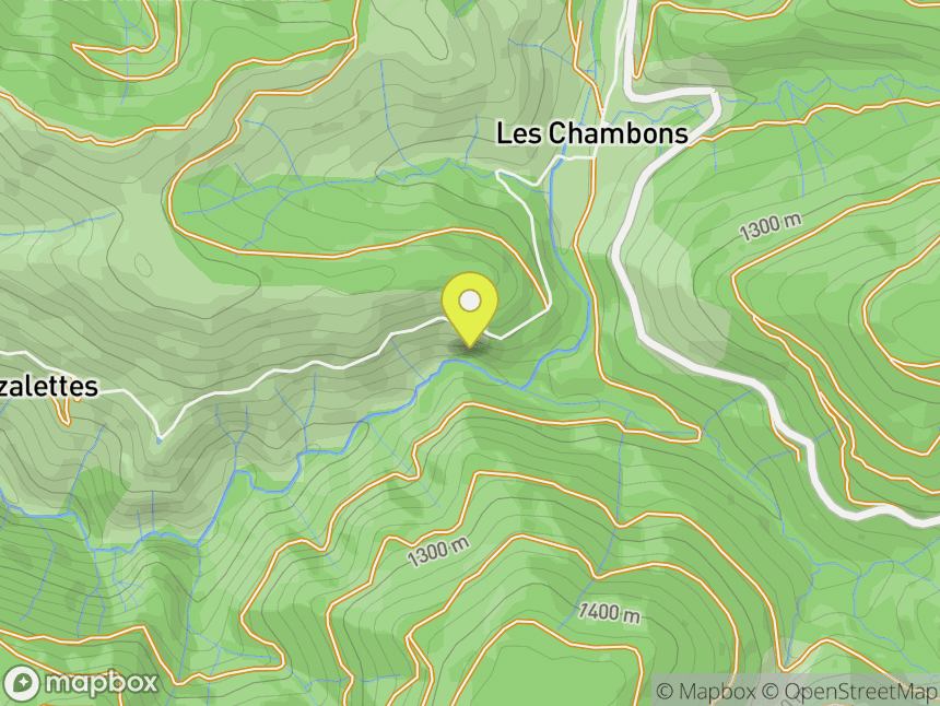 Les Chambons