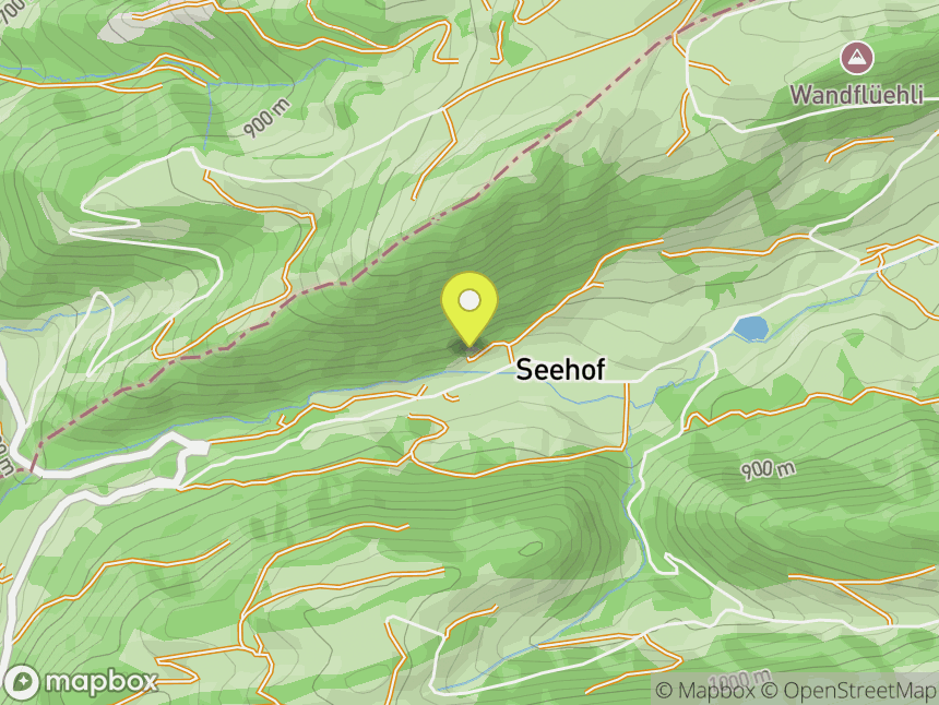 Dalle de Seehof