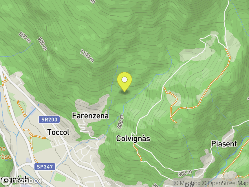 Farenzena
