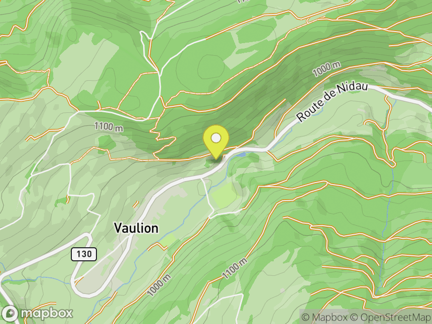 Vaulion