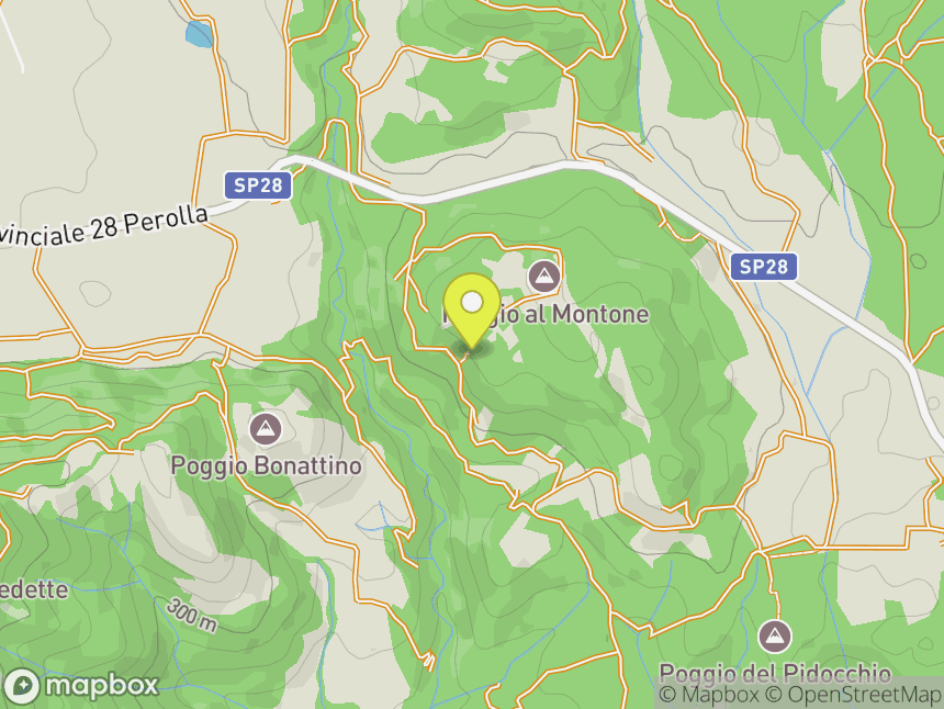 Ghirlanda (Poggio al Montone)