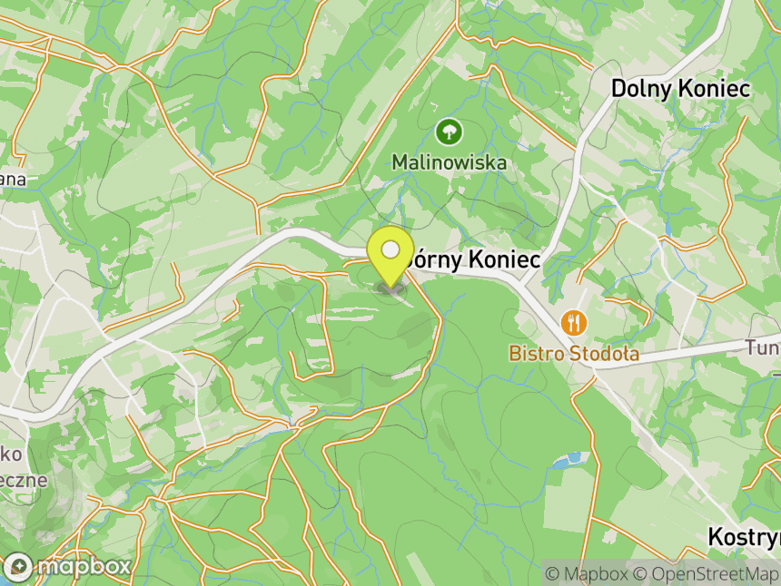 Kamień Leski