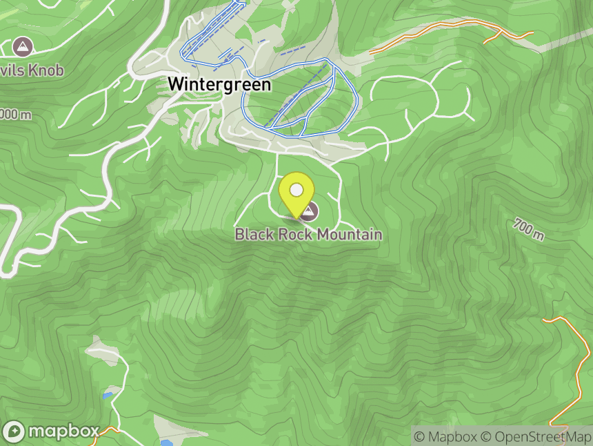 Wintergreen