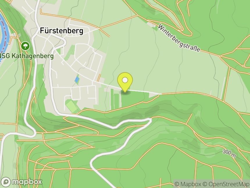 Fürstenberger Wände