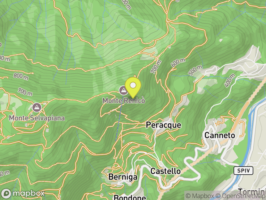 Monte Renico