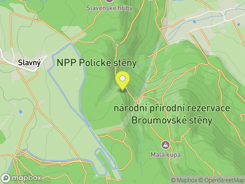 Gejša