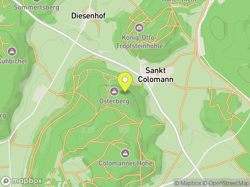 Schwammerlwände