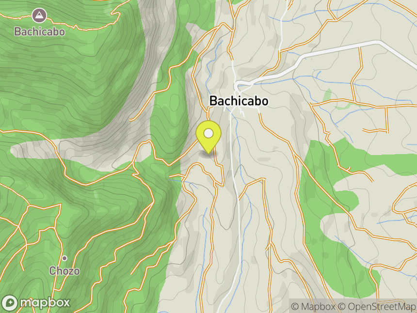 Ir a Bachicabo