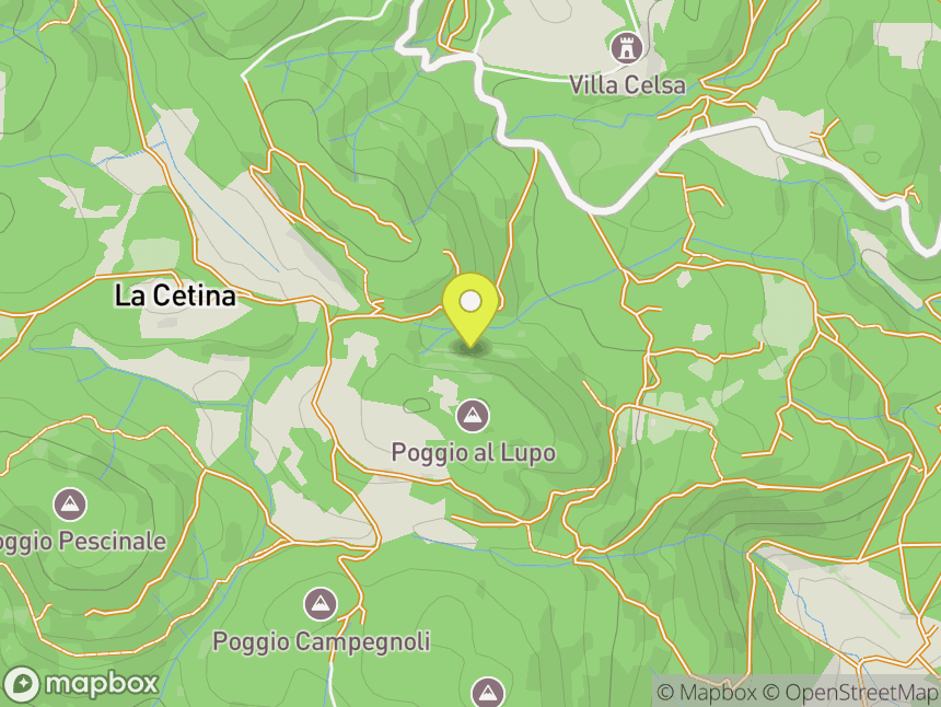 Celsa